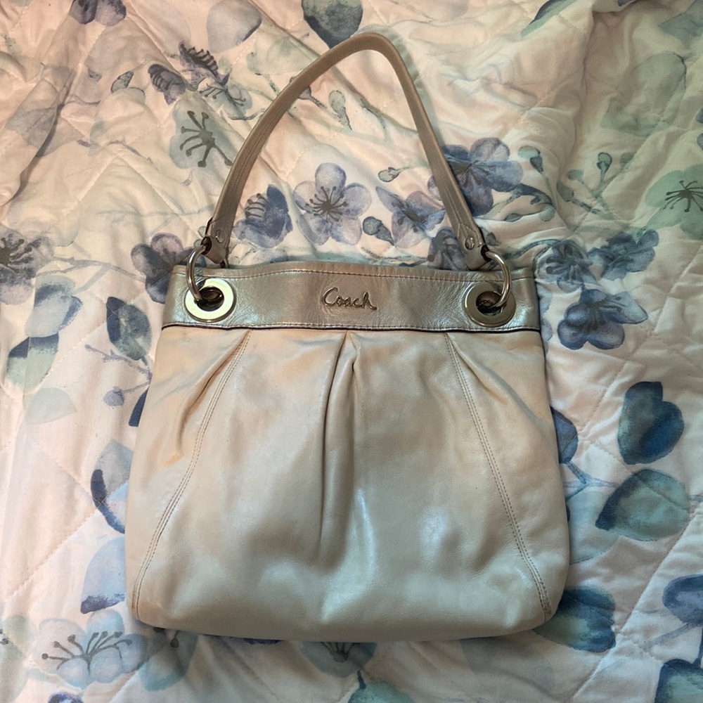 Coach Ashley Hobo Bag